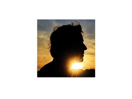 Thomas Dutronc - Il N'est Jamais Trop Tard (CD)