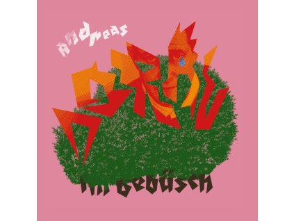 Andreas Dorau - Im Gebüsch (Limited Edition) (CD)