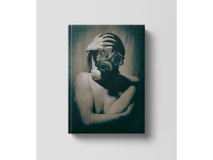 Manic Street Preachers - Gold Against The Soul (Boxset) (CD)