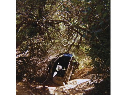 Ty Segall - Possession (CD)