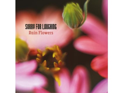 Sorry For Laughing - Rain Flowers (CD)
