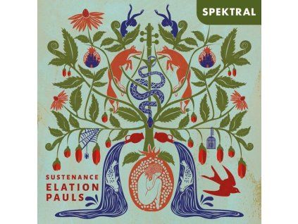 3614480 elation pauls sustenance cd