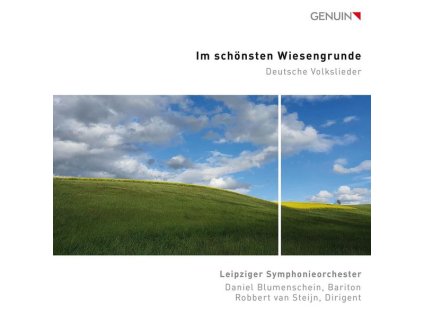 Daniel Blumenschein - Im schönsten Wiesengrunde (CD)