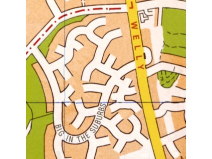 WELLY - Big In The Suburbs (CD)