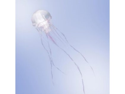 SCANDAL - Luminous (Limited Edition) (Type A) (CD)