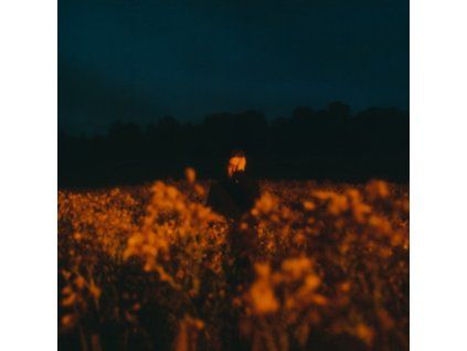 3622025 benjamin francis leftwich some things break cd