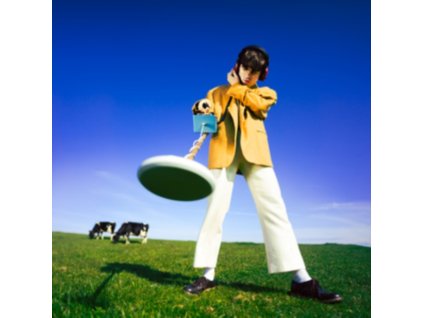 DECLAN MCKENNA - What Happened To The Beach? (CD)