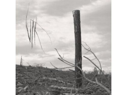 3622286 vlk solastalgia i cd