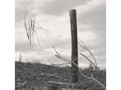 VLK - Solastalgia I (CD)