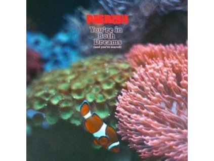 PAERISH - Youre In Both Dreams (And Youre Scared) (CD)