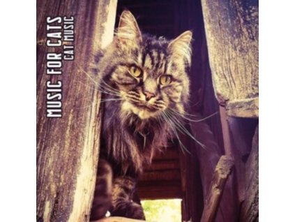 MUSIC FOR CATS - Cat Music (Limited Edition) (Digi) (CD)