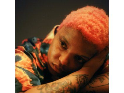 3625013 loraine james gentle confrontation cd