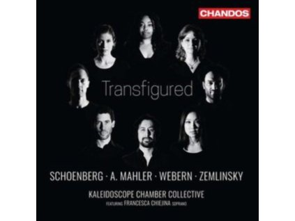 KALEIDOSCOPE CHAMBER COLL - Transfigured (CD)