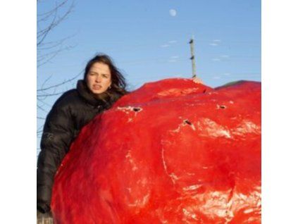 3628046 packs crispy crunchy nothing cd