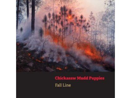 3628457 chickasaw mudd puppies fall line cd
