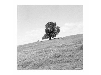 3628694 blank gloss cornered cd