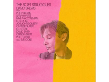 DAVID BREWIS - The Soft Struggles (CD)