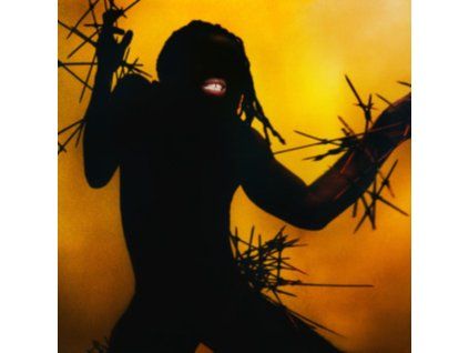 3629456 young fathers heavy heavy cd