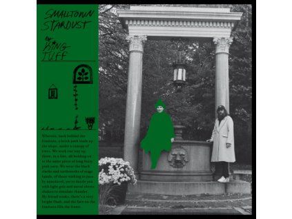 3629513 king tuff smalltown stardust cd