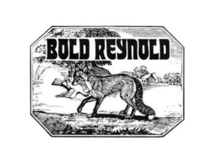 DAVID CARROLL AND FRIENDS - Bold Reynold (CD)