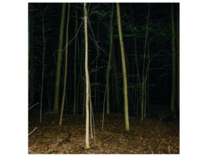 EXPRESS RISING - Fixed Rope II (CD)