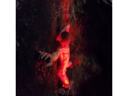 SARAHSSON - The Horgenaith (CD)