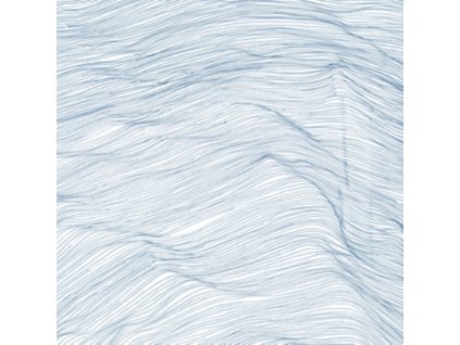 QASIM NAQVI / WADADA LEO SMITH / ANDREW CYRILLE - Two Centuries (CD)