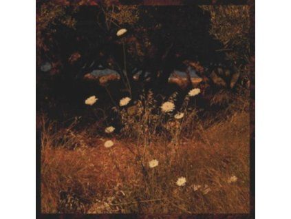 3631889 szun waves earth patterns cd