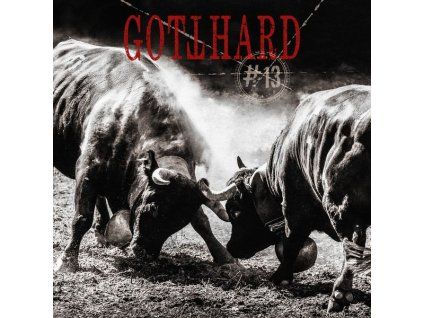3638363 gotthard 13 cd