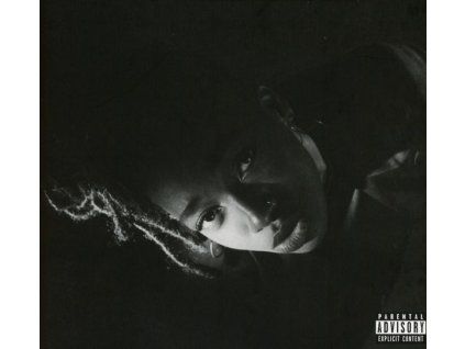 3640028 little simz grey area cd