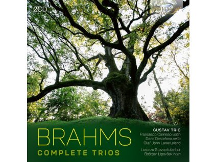 Johannes Brahms (1833-1897) - Klaviertrios Nr.1-3 (CD)