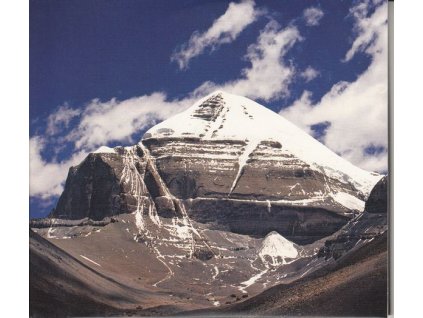 Throbbing Gristle - Part Two: The Endless Not / TG Now (CD)