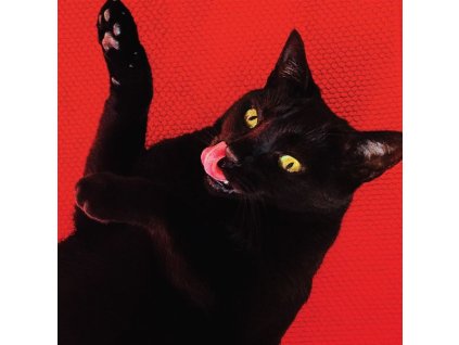 Ryan Adams - Big Colors (CD)