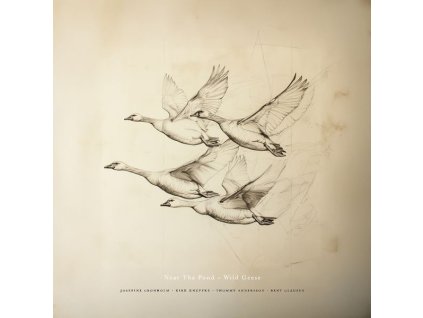 Near The Pond - Wild Geese (CD)