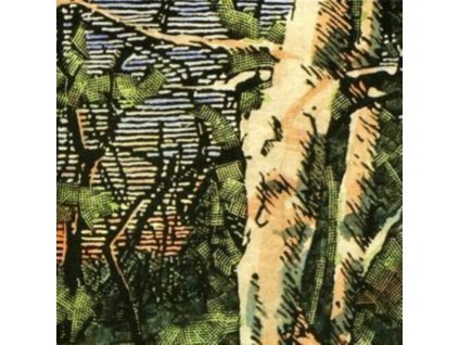 The Anomoanon - Asleep Many Years In The Wood CD