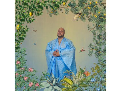 3654212 boddhi satva manifestation cd