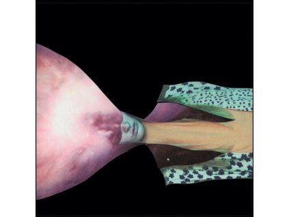 3655472 painted shield painted shield 2 cd