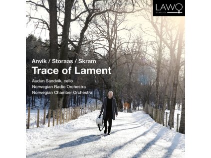 AUDUN SANDVIK / NORWEGIAN RADIO ORCHESTRA / NORWEGIAN CHAMBER - Trace Of Lament (CD)