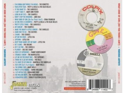 VARIOUS ARTISTS - What Kind Of Girl (Do You Think I Am?) - East Coast Girls & Groups (CD)