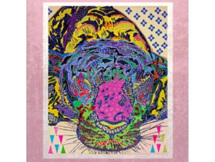 3656696 kati asko 3 step andy cd