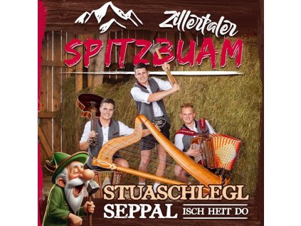 Zillertaler Spitzbuam - Stuaschlegl Seppal isch heit do (CD)