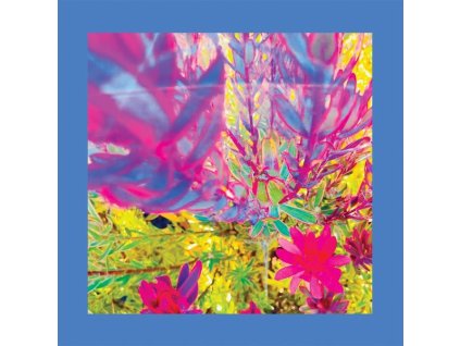 The Reds, Pinks & Purples - The Past Is A Garden I Never Fed (CD)