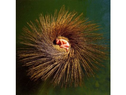 Peter Gabriel - OVO The Millennium Show (CD)