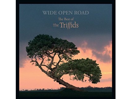 The Triffids - Wide Open Road: The Best Of The Triffids (CD)