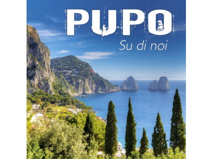 Pupo - Su Di Noi: I Successi Di Pupo (CD)