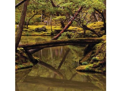 Rebecca Foon - Kammermusik für Violine, Cello & Klavier - "Reverie (CD)