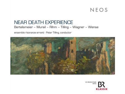 3690632 ensemble risonanze erranti near death experience cd