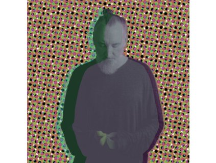 Fink (D) - Beauty In Your Wake (Acoustic) (Limited Edition) (CD)