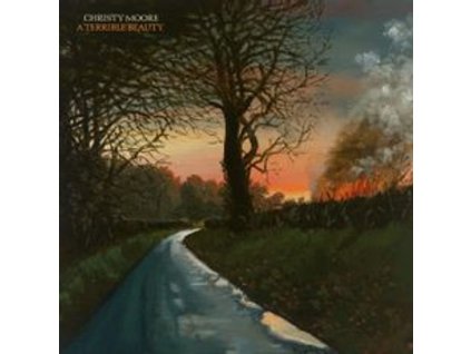 Christy Moore - A Terrible Beauty (CD)