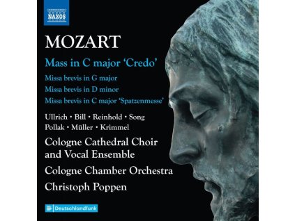 Wolfgang Amadeus Mozart (1756-1791) - Sämtliche Messen Vol.6 (CD)